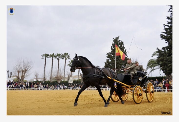 Spain Horses en la presentación de sementales de Écija Spain Horses en la presentación de sementales de Écija