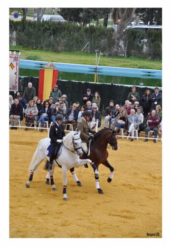 Spain Horses en la presentación de sementales de Écija Spain Horses en la presentación de sementales de Écija